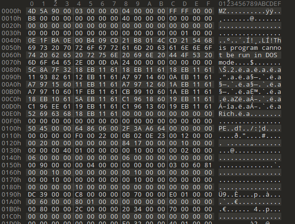 image-20240221174906271