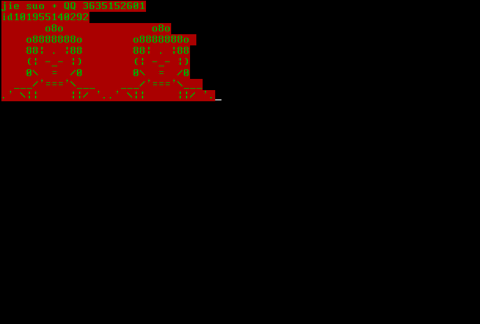 image-20240606164507069