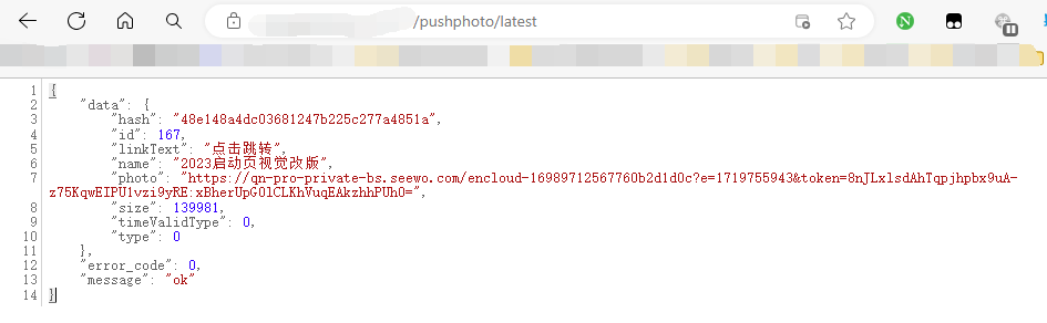 image-20240630182556344