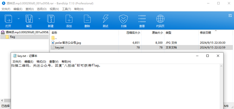 image-20241209201105687