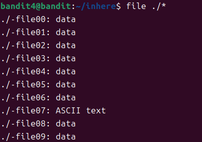 image-20260305131709303