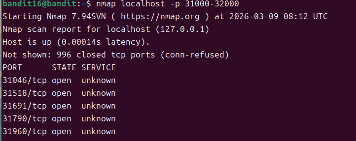 image-20260309161303858