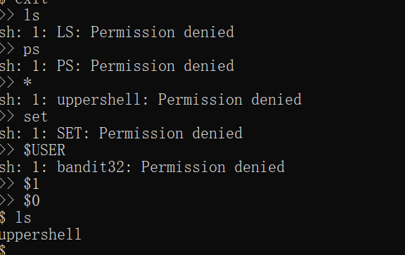 image-20260330162856746